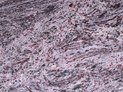 Ducimus ipsam error fugiat harum recusandae